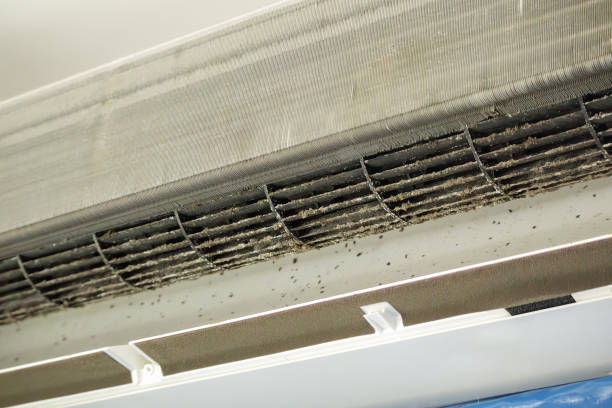 Best Dryer Vent Cleaning Services  in Jackson Center, OH